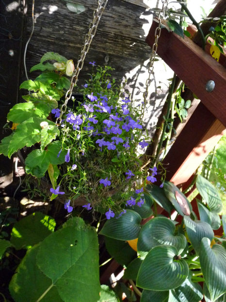  - 2022 - 03 - Toamna