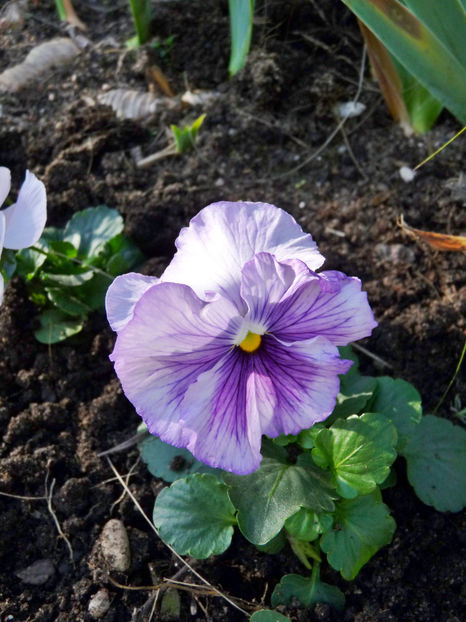  - 2022 - 03 - Toamna