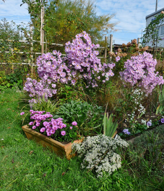  - 2022 - 03 - Toamna