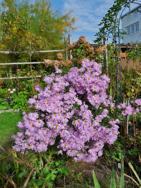  - 2022 - 03 - Toamna