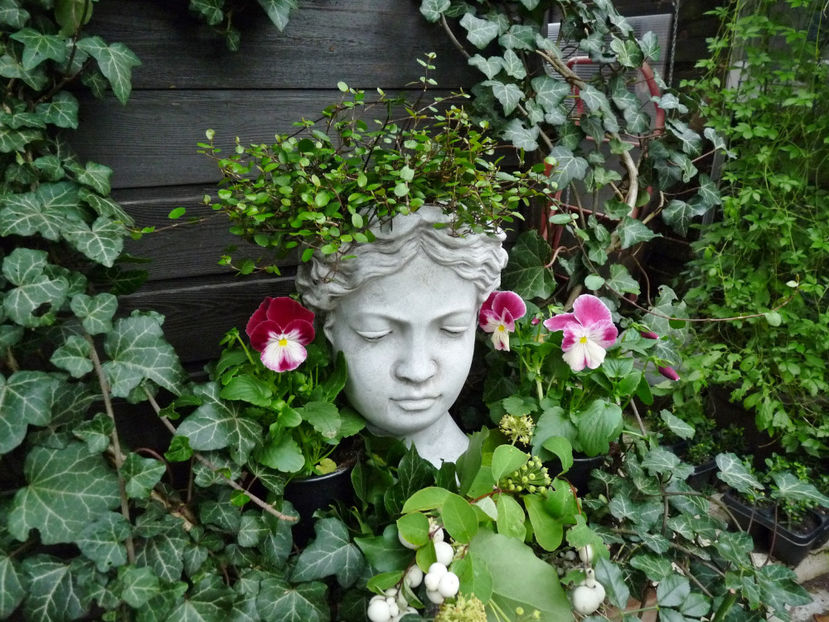  - 2022 - 03 - Toamna