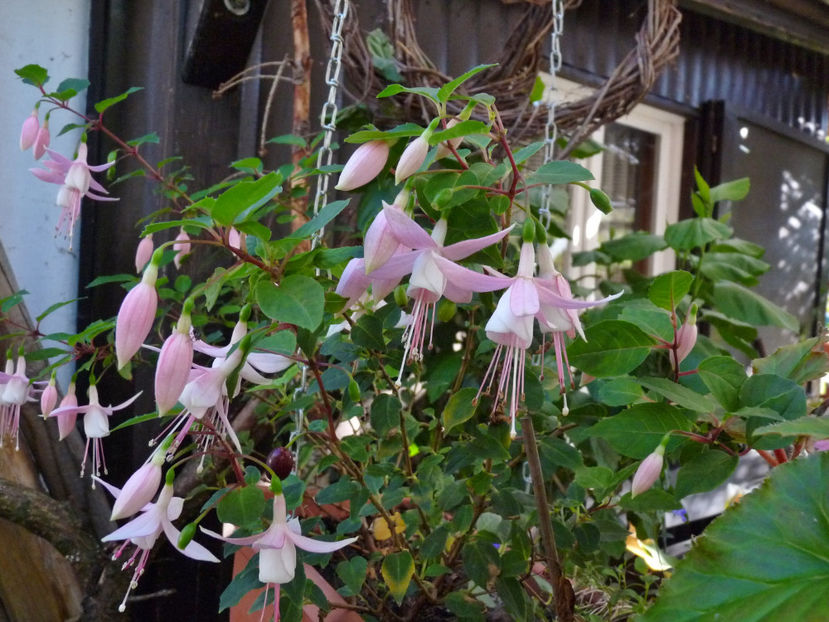  - 2022 - 03 - Toamna