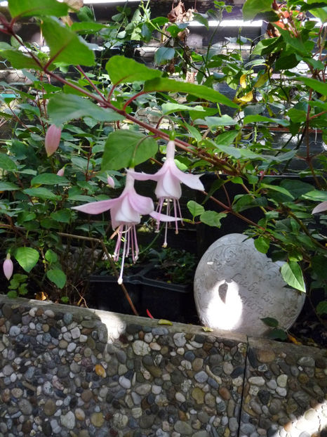  - 2022 - 03 - Toamna