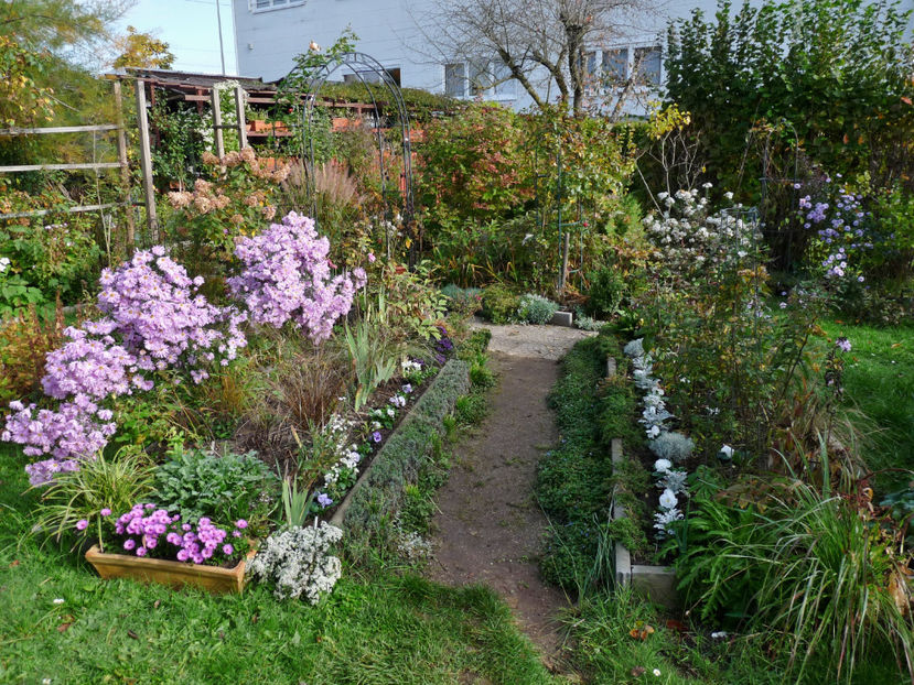  - 2022 - 03 - Toamna