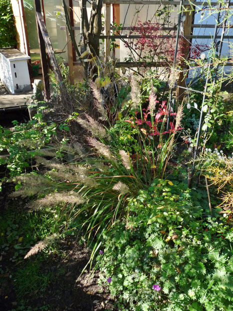  - 2022 - 03 - Toamna