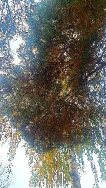  - Universul si Natura