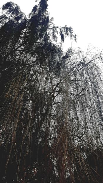  - Universul si Natura