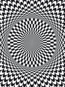 115236703_TTPYFLU-1 - diverse