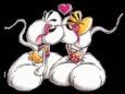 16197025_MEFRBYSLP - diverse