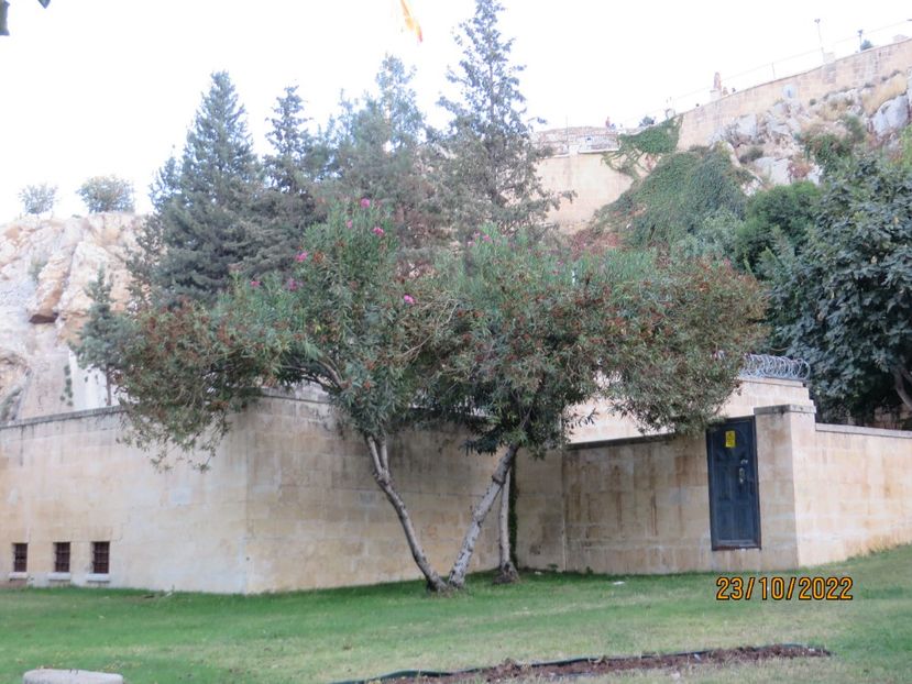  - 3 Sanliurfa Ur