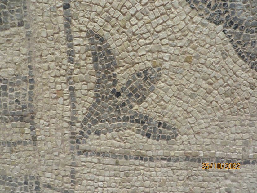  - 6 Gazientep - Muzeu Arheologie