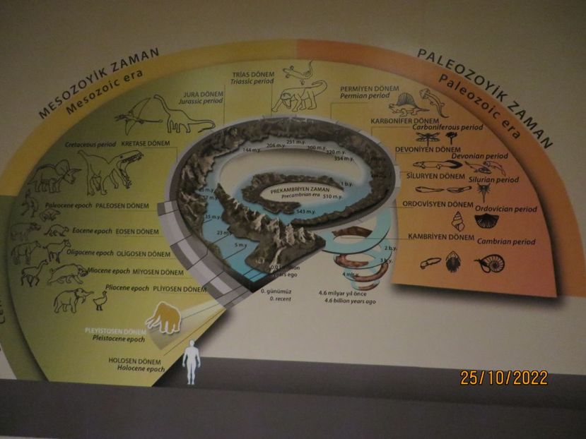  - 6 Gazientep - Muzeu Arheologie