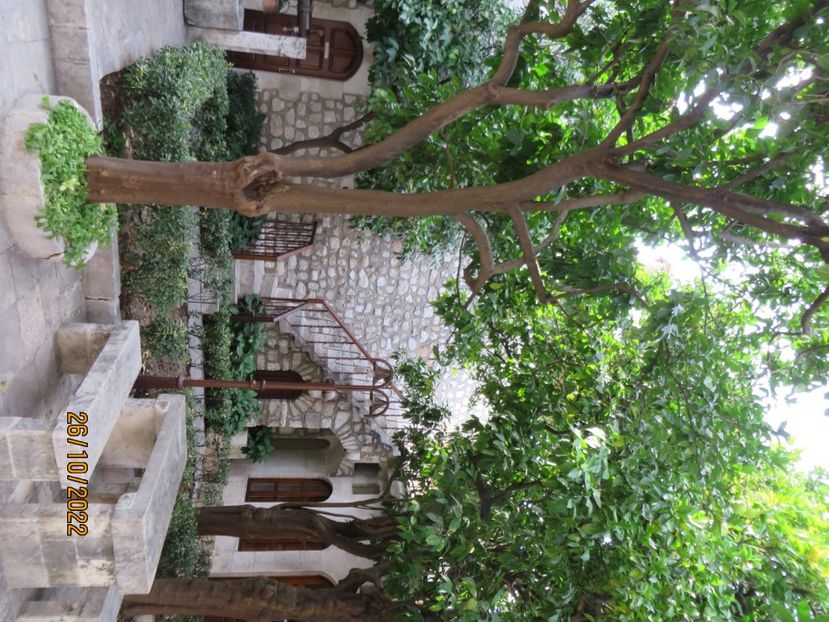  - 7 Antakya - Biserica pestera- Muzeu Arheologie Hatay