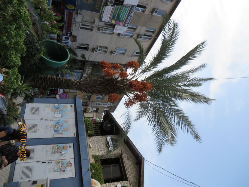  - 7 Antakya - Biserica pestera- Muzeu Arheologie Hatay