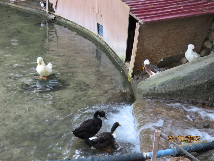  - 7 Antakya - Biserica pestera- Muzeu Arheologie Hatay