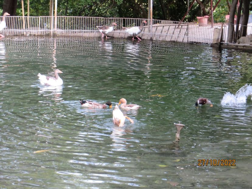  - 7 Antakya - Biserica pestera- Muzeu Arheologie Hatay