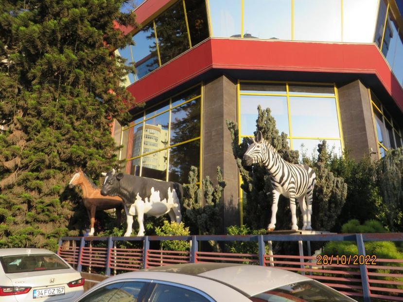  - 8 Samandag- Adana- Tarsus