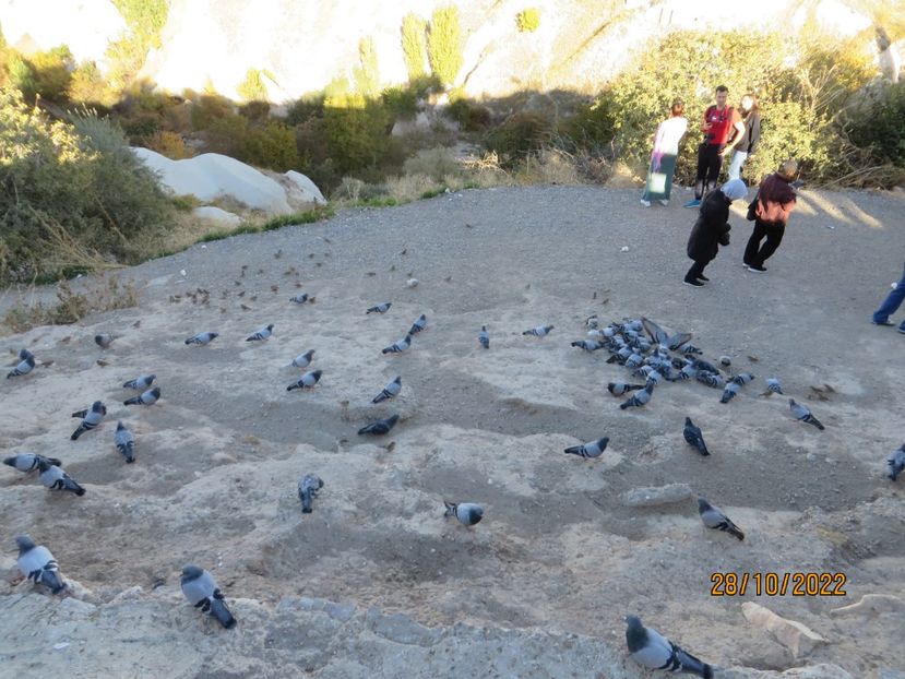  - 9 Oras subteran Kaymakli - Cappadocia