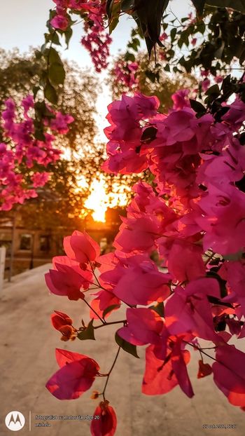 WhatsApp Image 2022-10-27 at 19.27.43 - 12 De la Mihaela