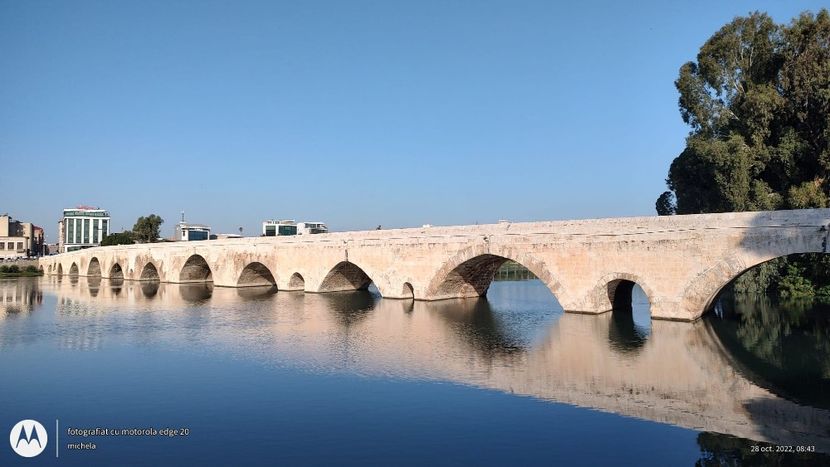 WhatsApp Image 2022-10-28 at 08.58.06 (1) - 12 De la Mihaela