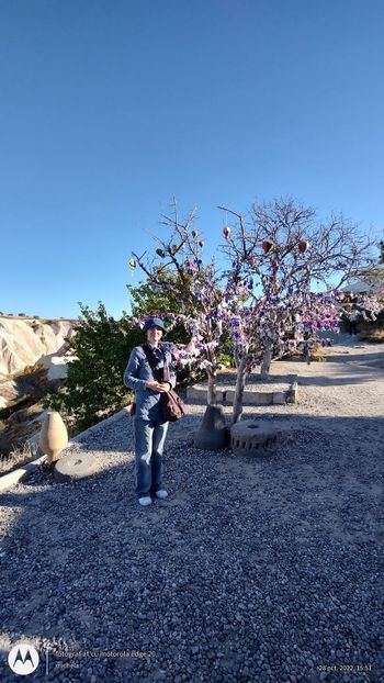 WhatsApp Image 2022-10-28 at 18.44.33 - 12 De la Mihaela