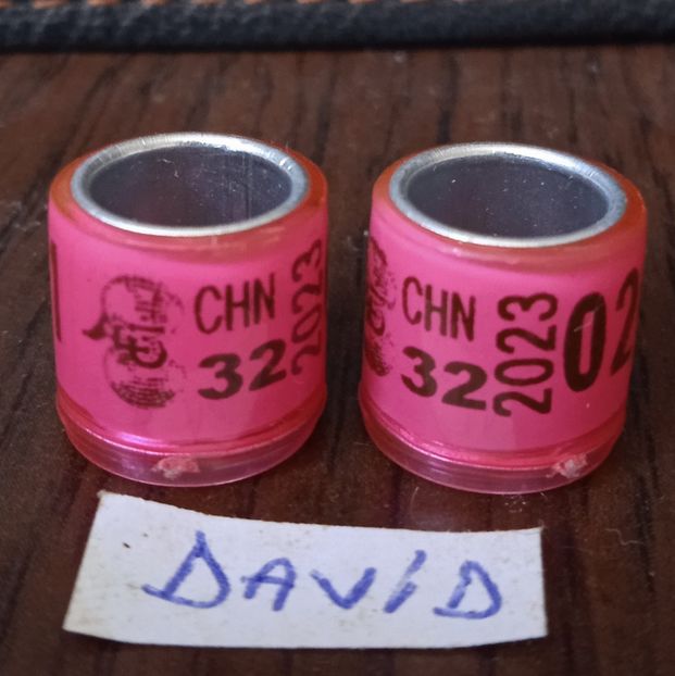 2023 - China fara talon....-1 leu - Inele 2014