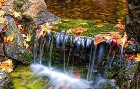 115135694_UNNGLMC-1 - lucruri diverse