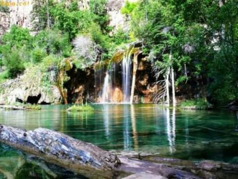 115135695_LECCQPF3-1 - lucruri diverse