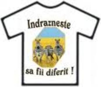 17734606_RRIBRUVLO - lucruri diverse