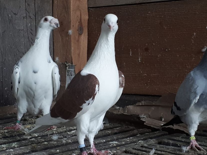 IMG-20221101-WA0033 - 2022