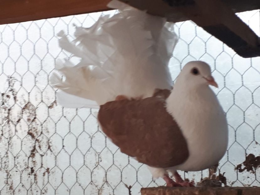 IMG-20221101-WA0030 - 2022