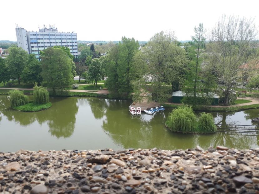 IMG-20221101-WA0099 - Gyula