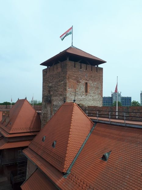 IMG-20221101-WA0086 - Gyula