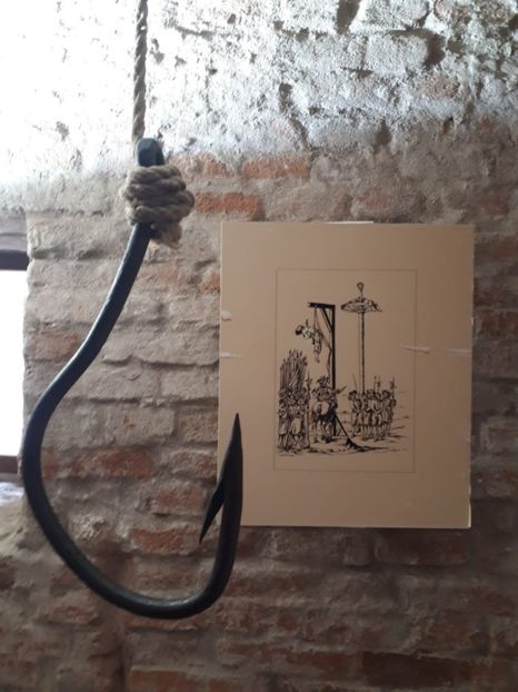 IMG-20221101-WA0075 - Gyula