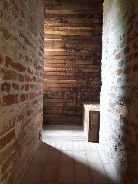 IMG-20221101-WA0083 - Gyula