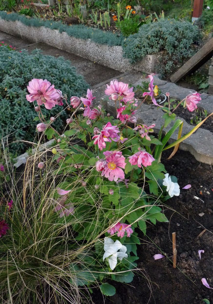  - 2022 - 03 - Toamna