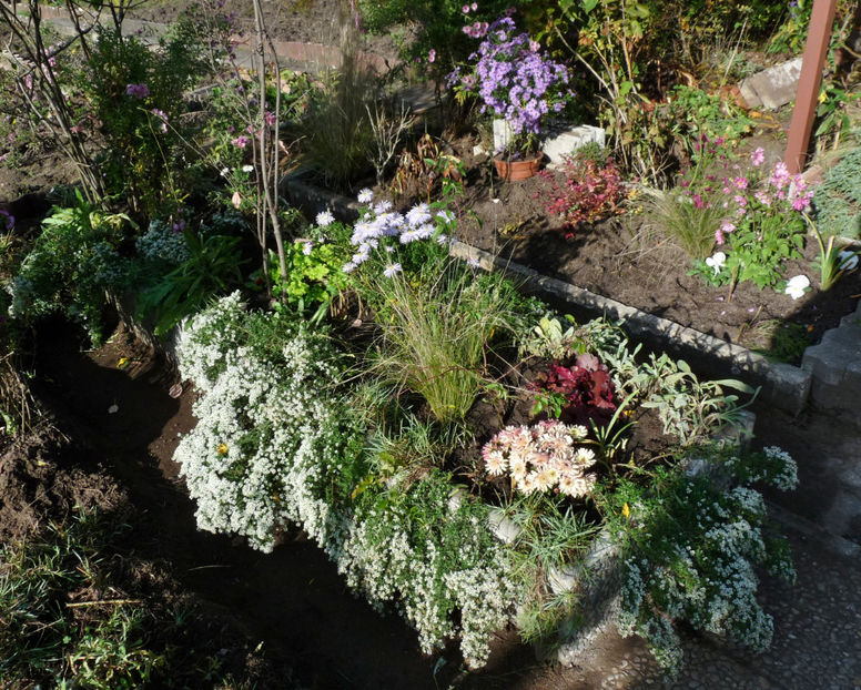  - 2022 - 03 - Toamna