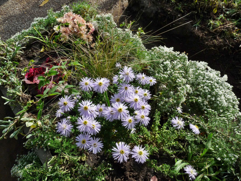  - 2022 - 03 - Toamna