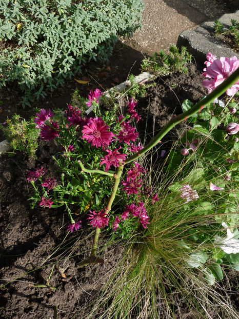  - 2022 - 03 - Toamna