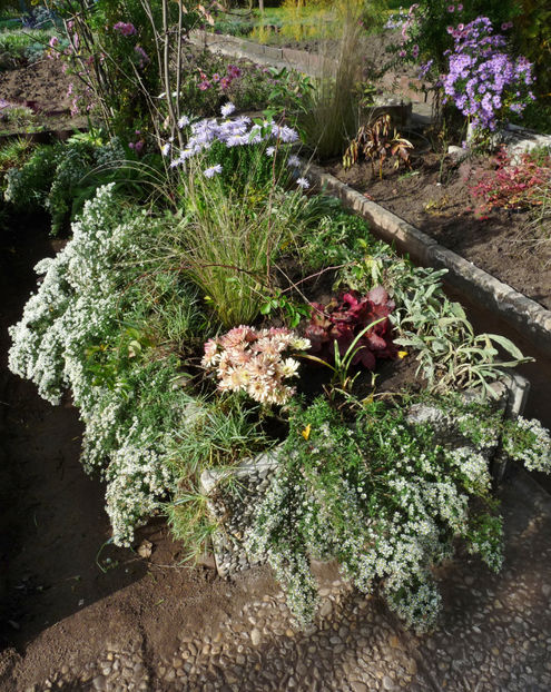  - 2022 - 03 - Toamna