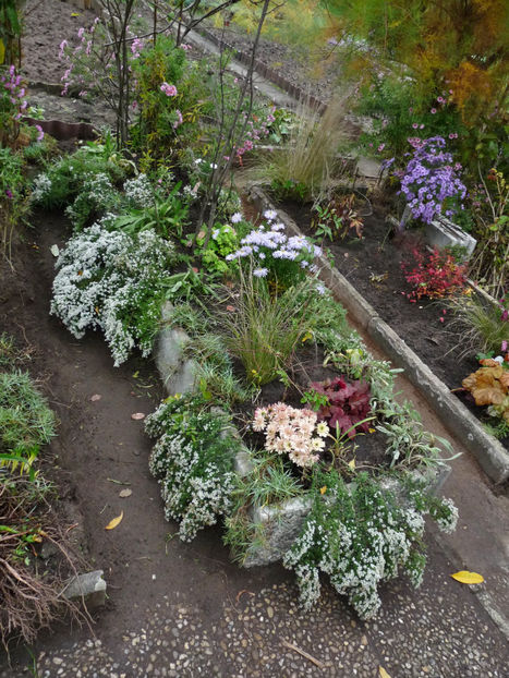  - 2022 - 03 - Toamna