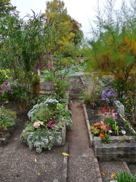  - 2022 - 03 - Toamna