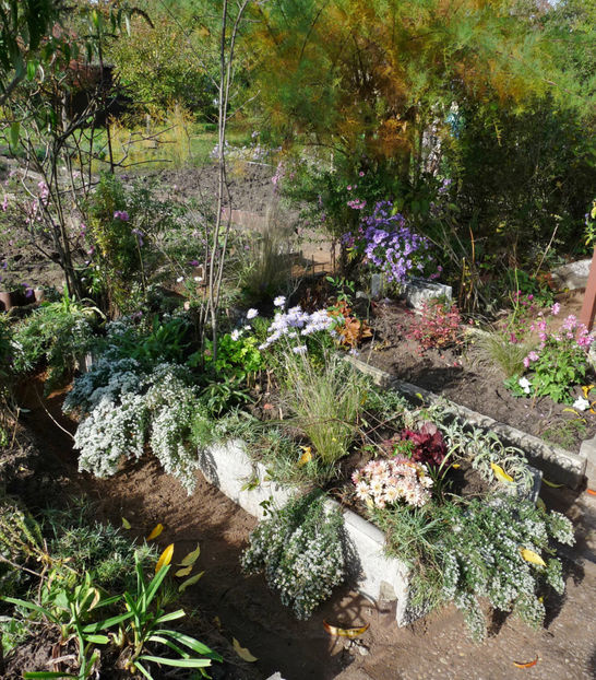  - 2022 - 03 - Toamna