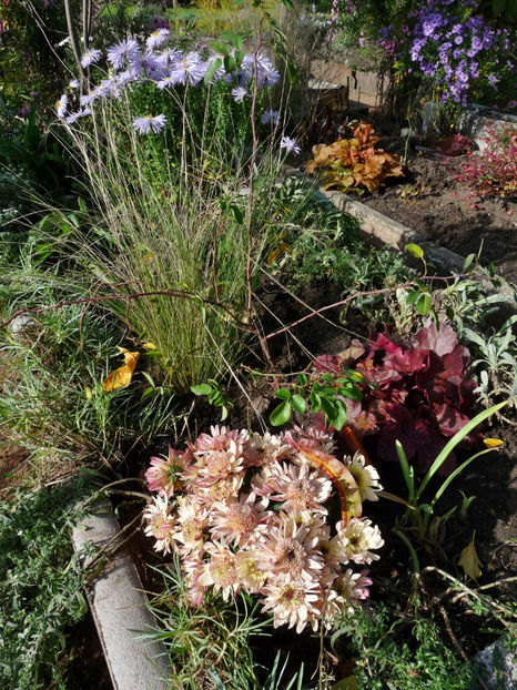  - 2022 - 03 - Toamna