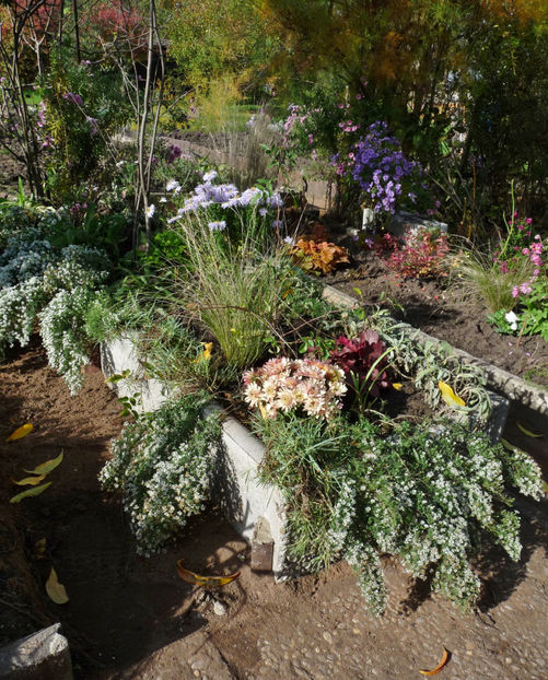  - 2022 - 03 - Toamna