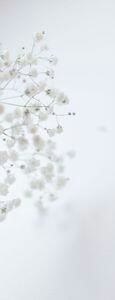 114896138_FNQMWRI-1 - tare