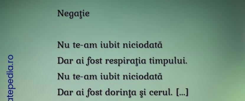 111433073_YYYUJQQ-1-1 - tare