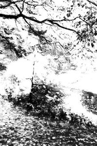 115251189_JMIYOBR3-1 - tare