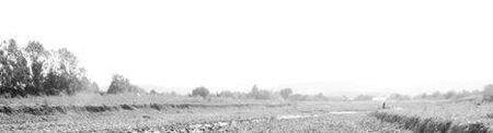115101763_ROFTQVY-1 - tare