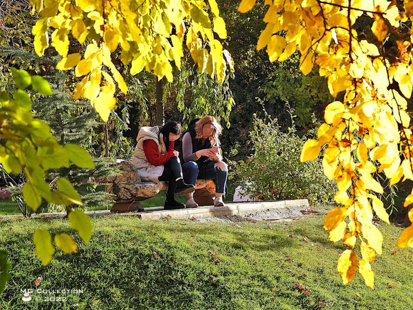 w-TOAMNA IN PARK - AUTUMN IN THE PARK - OAMENI-PEOPLES